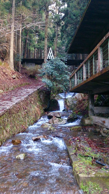 杉神社